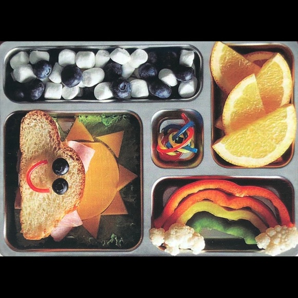 PlanetBox Rover Stainless Steel Lunch Planet Box - Picture 3 of 3